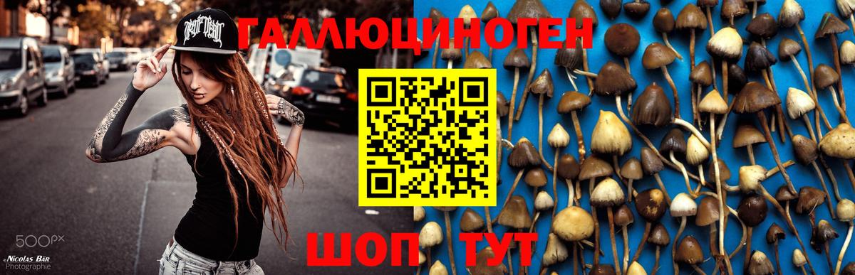 Псилоцибиновые грибы Psilocybe  Вход с VPN  Воронеж 